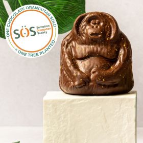 Tuan the Orangutan to support SOS