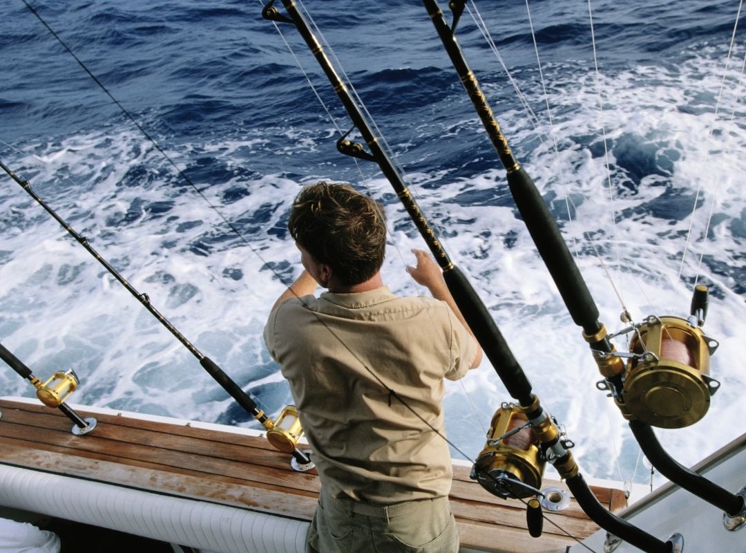 Swanage Sea Fishing