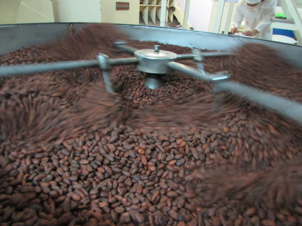 roasted cocoa beans cooling at the Robert chocolate factory madagascar
