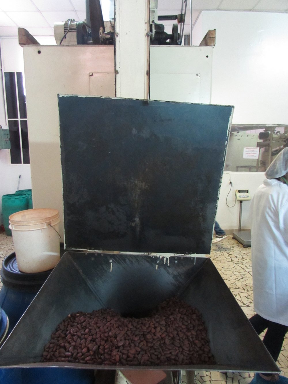 roasted cocoa beans into winnower at Robert chocolate factory madagascar