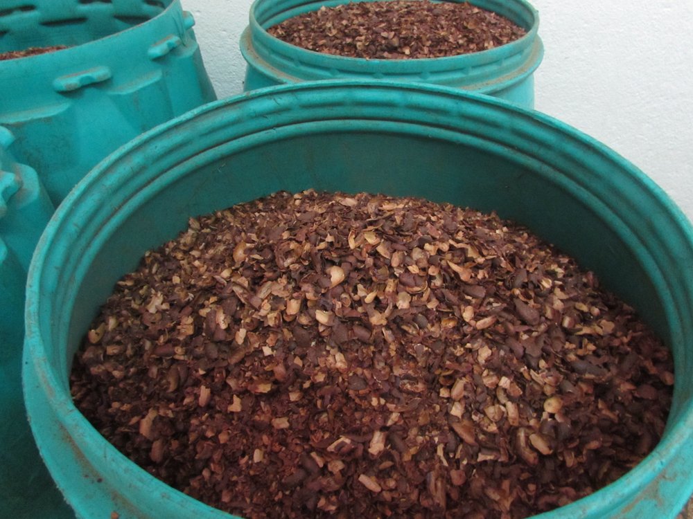 cocoa bean shells at Robert chocolate factory madagascar